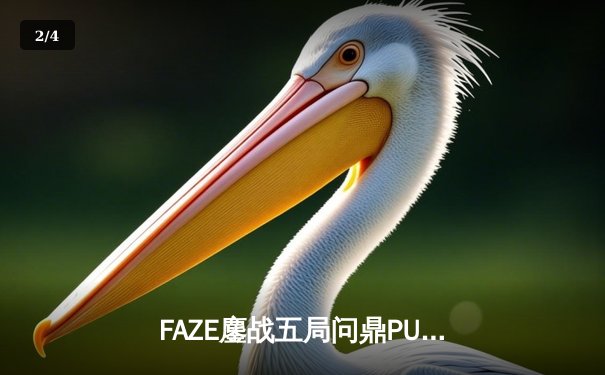 FAZE鏖战五局问鼎PUBG 2025全球总决赛，欧洲豪强时隔三年重铸辉煌 - 2