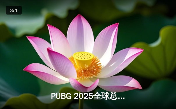 PUBG 2025全球总决赛巅峰对决：Gen.G逆风翻盘，加冕四冠王传奇 - 3