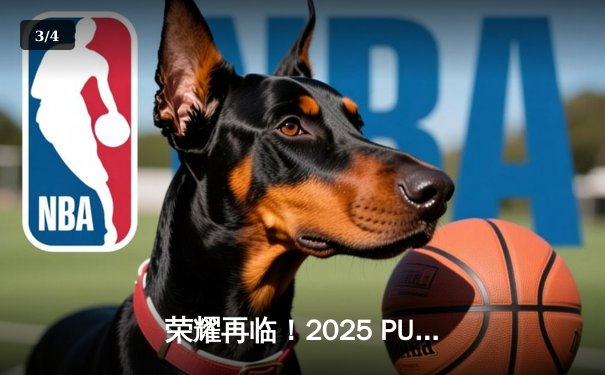 荣耀再临！2025 PUBG全球巅峰赛：Navi逆风翻盘勇夺三冠王，PCL赛区双子星闪耀 - 3